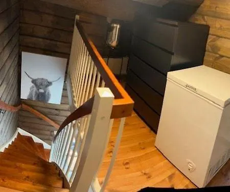 Ferienhaus Sjarmerende Tommerhytte Pa Bjorli
