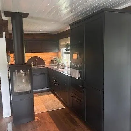 Sjarmerende Tommerhytte Pa Bjorli Ferienhaus *
