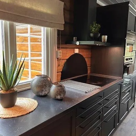 Ferienhaus Sjarmerende Tommerhytte Pa Bjorli Lii