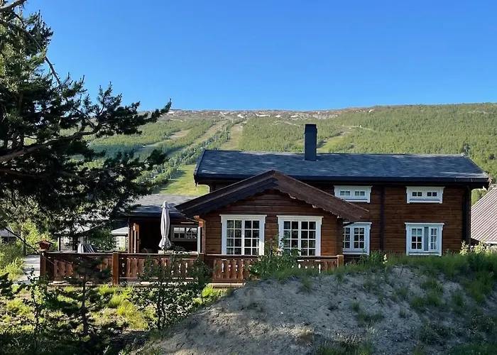Sjarmerende Tommerhytte Pa Bjorli Hébergement de vacances